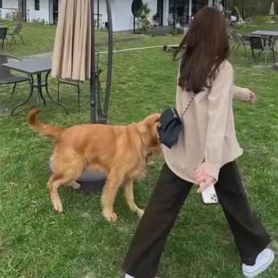 声临其境第一季
